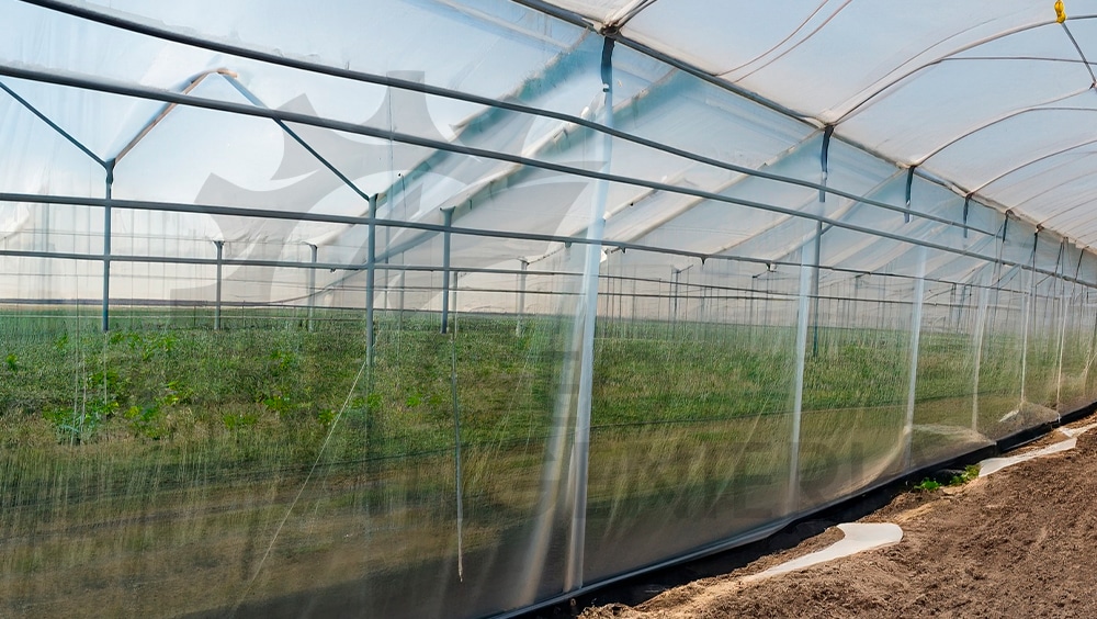 Tecnología que Impulsa la Agricultura Peruana