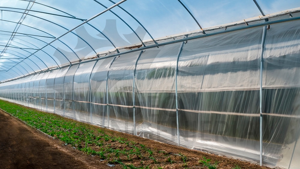 Tecnología que Impulsa la Agricultura Peruana